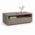 Couchtisch Grau Eiche Spanplatte Rechteckig mit 2 Schubladen und offenem Fach 120 x 60 x 45 cm